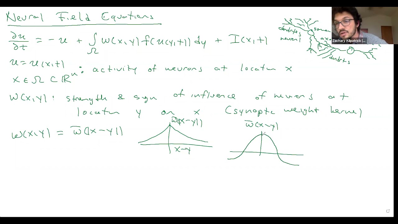 Apr 19: Neural Field Equations