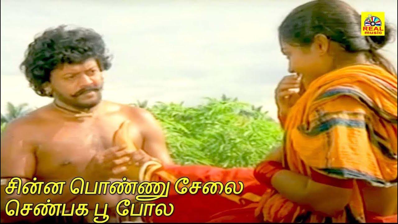 சின்ன பொண்ணு சேலை செண்பக பூ போல #  Ilayaraja , S. Janaki Superhit Song # Vairamuthu Lyrics Video