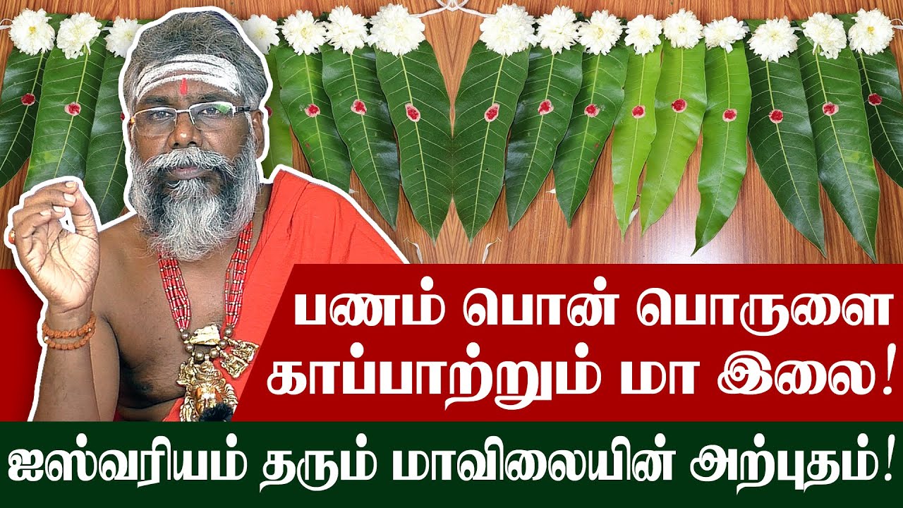 Veettil Thangam Sera Valigal in Tamil | Gold at Home | நகை அடகு கடைக்கு போகாது | மா இலையின் அற்புதம்