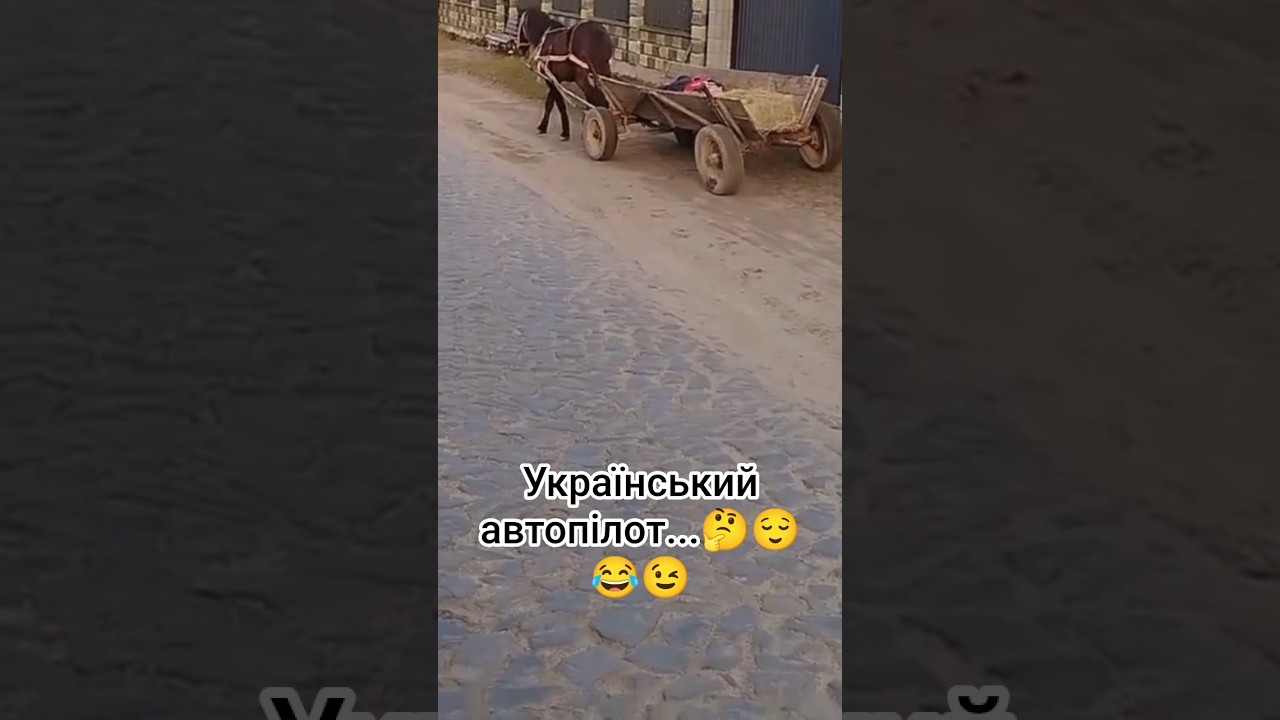 український автопілот #шортс #гумор #село #коні