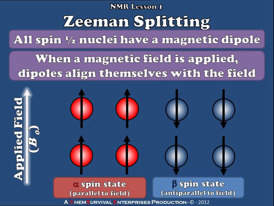 NMR - Zeeman Splitting Explained