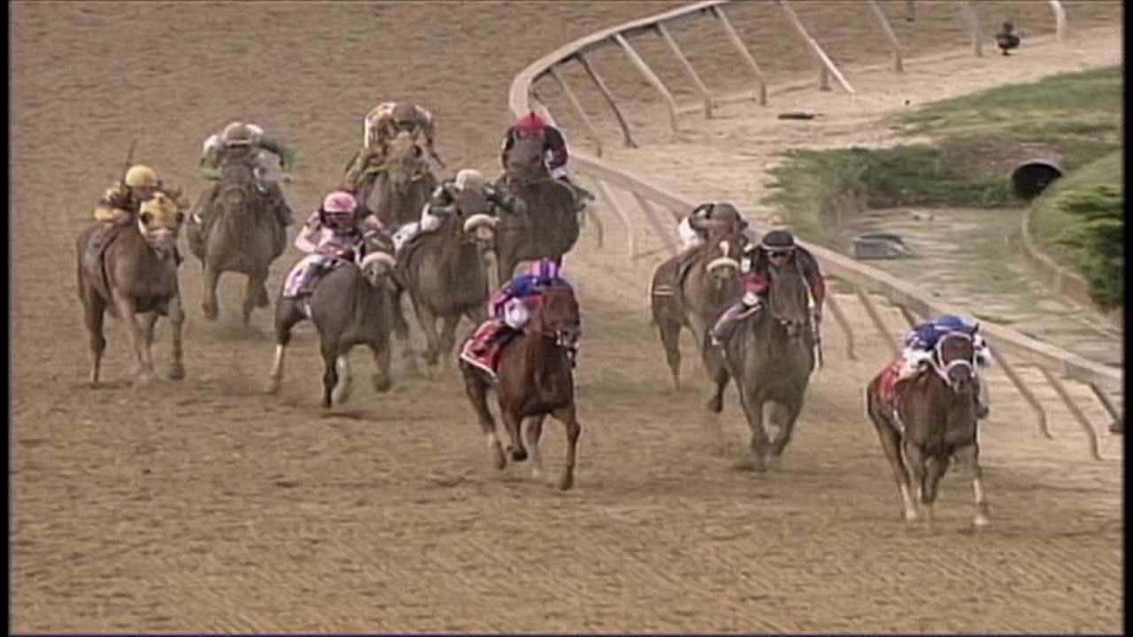 Smarty Jones Wins 2004 Preakness