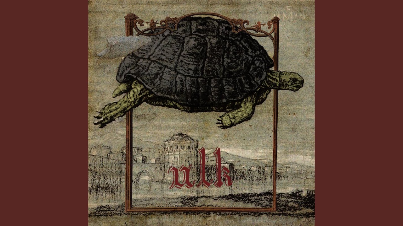 Tortoise I