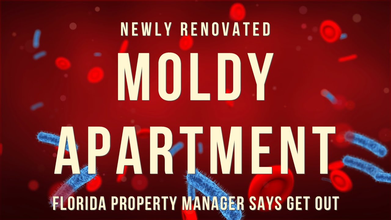 Moldy apartment Winter Springs, FL