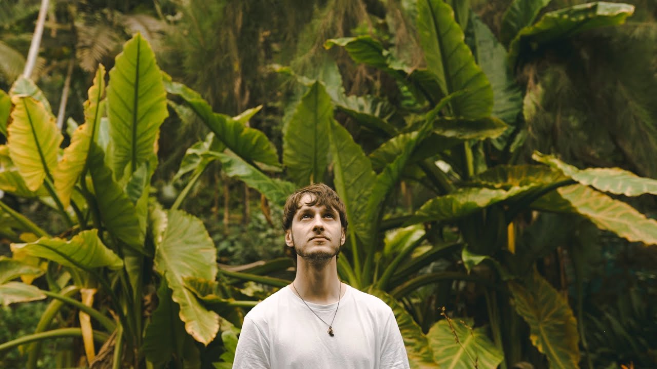 Sarpa Salpa - Simple Pleasures (Official Video)