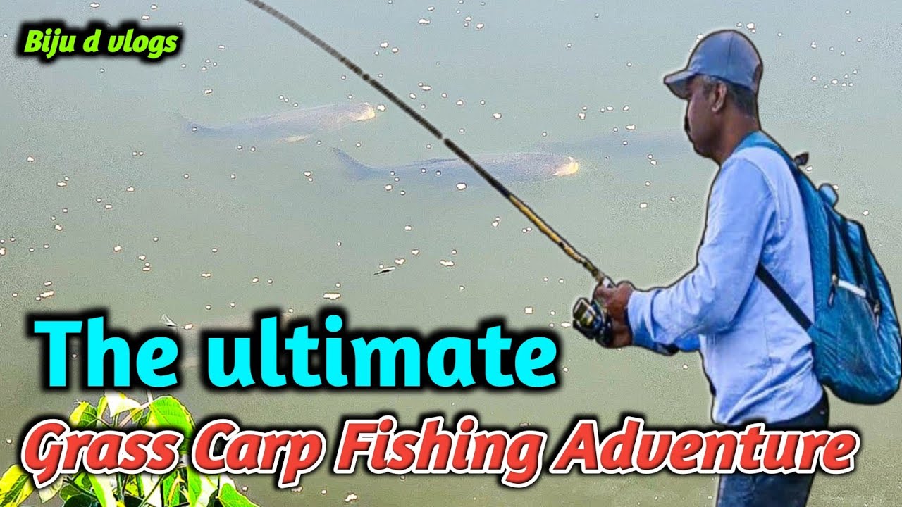 The Ultimate Grass Carp Fishing Adventure #bijudvlogs #fishing #grasscarpfishing