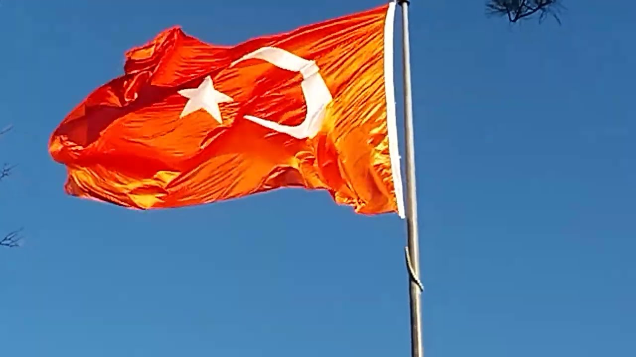 Şerif dayının bahçe günlüğü 6:GURUR. #bahçe 