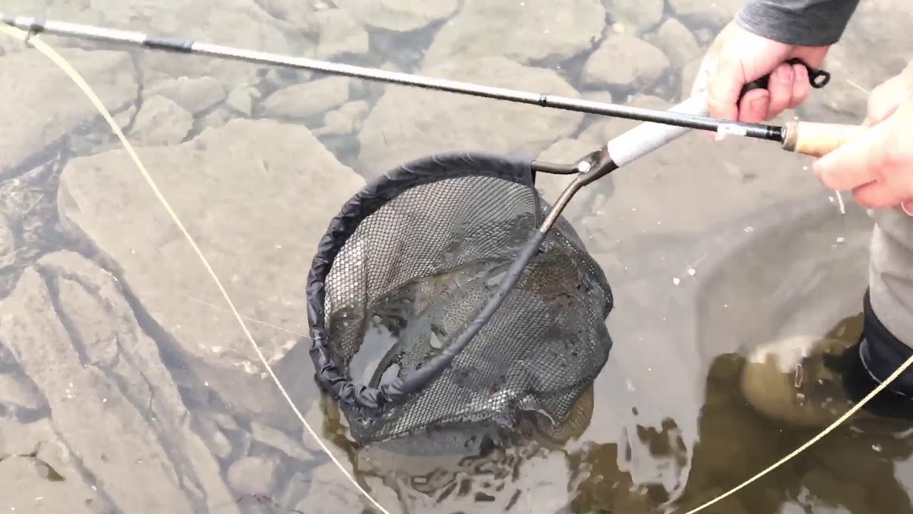 Flugfiske i Ransarån 2017