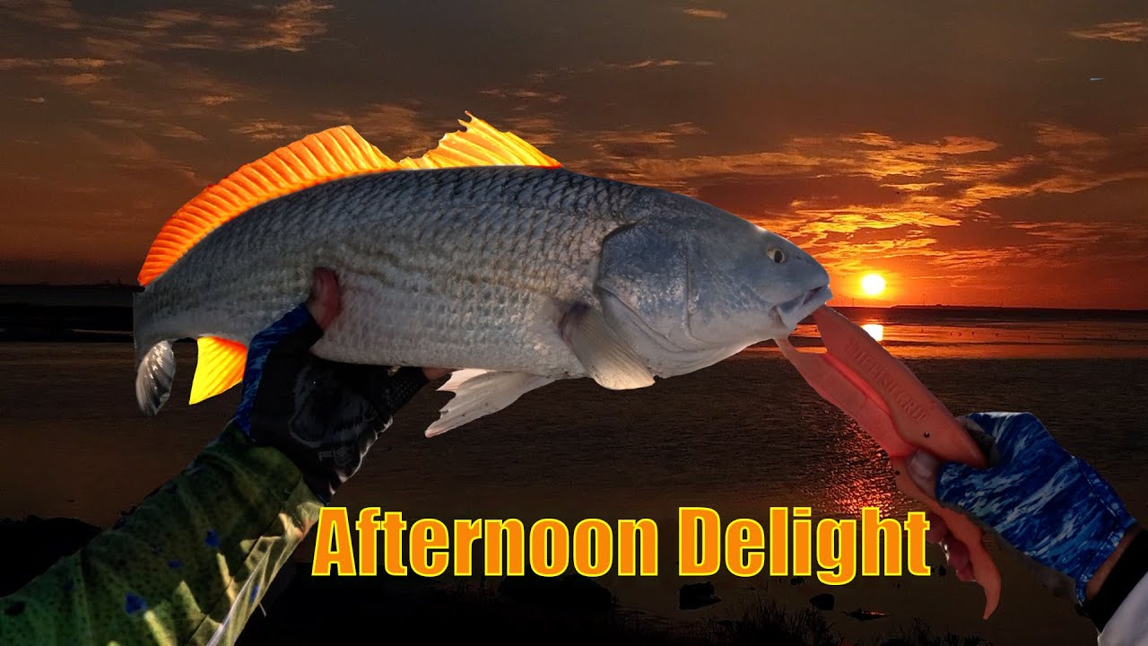 Catching a Limit of Redfish | Nueces Bay Marsh | Hobie PA14