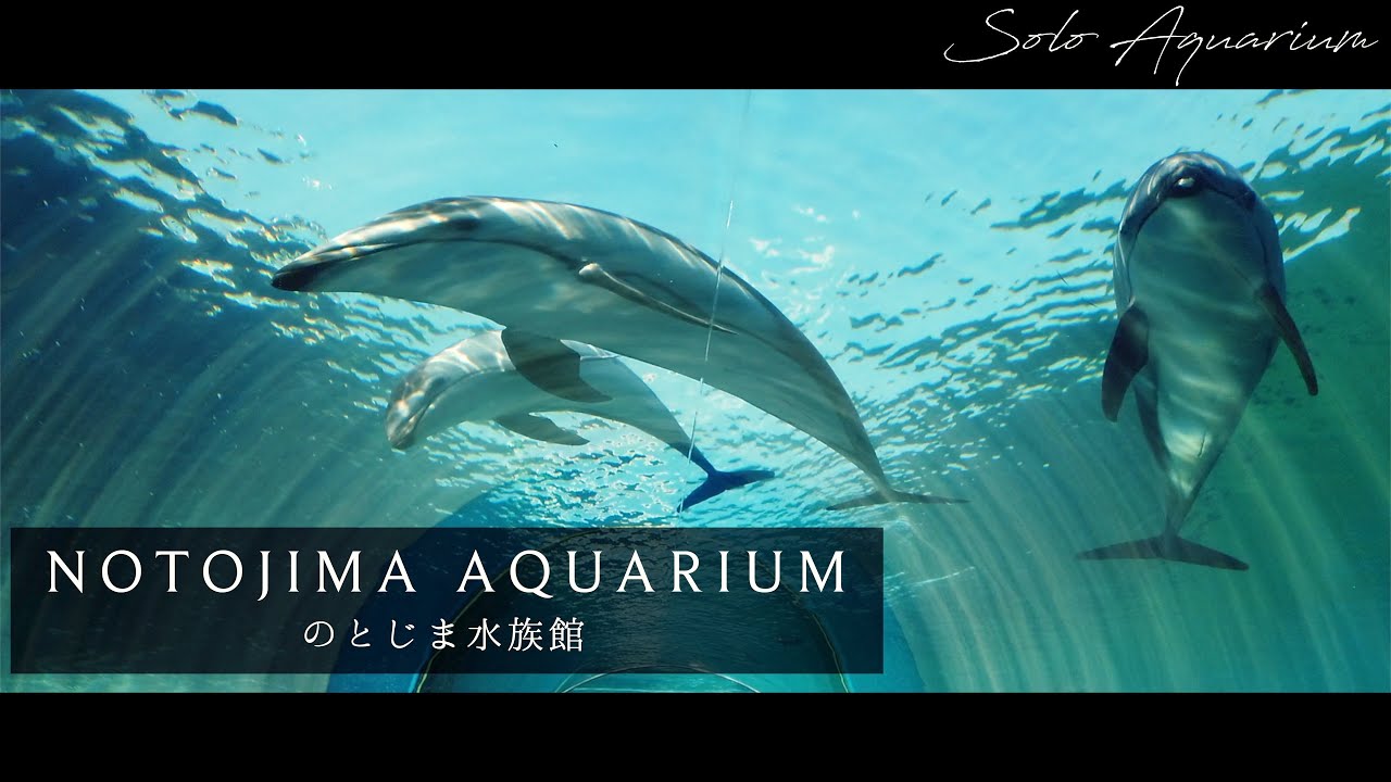 のとじま水族館のススメ２