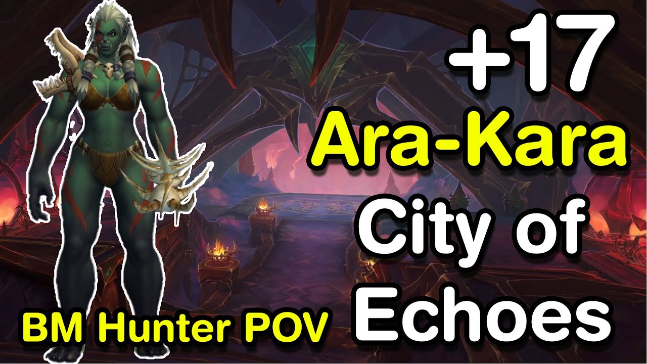 Beast Master Hunter | Ara-Kara, City of Echoes +17 | WoW The War Within Mythic+