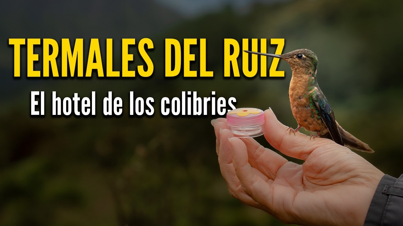 🌋 Termales del Ruiz como Nunca los Habías Visto. Descubre el Secreto Mejor Guardado de Manizales