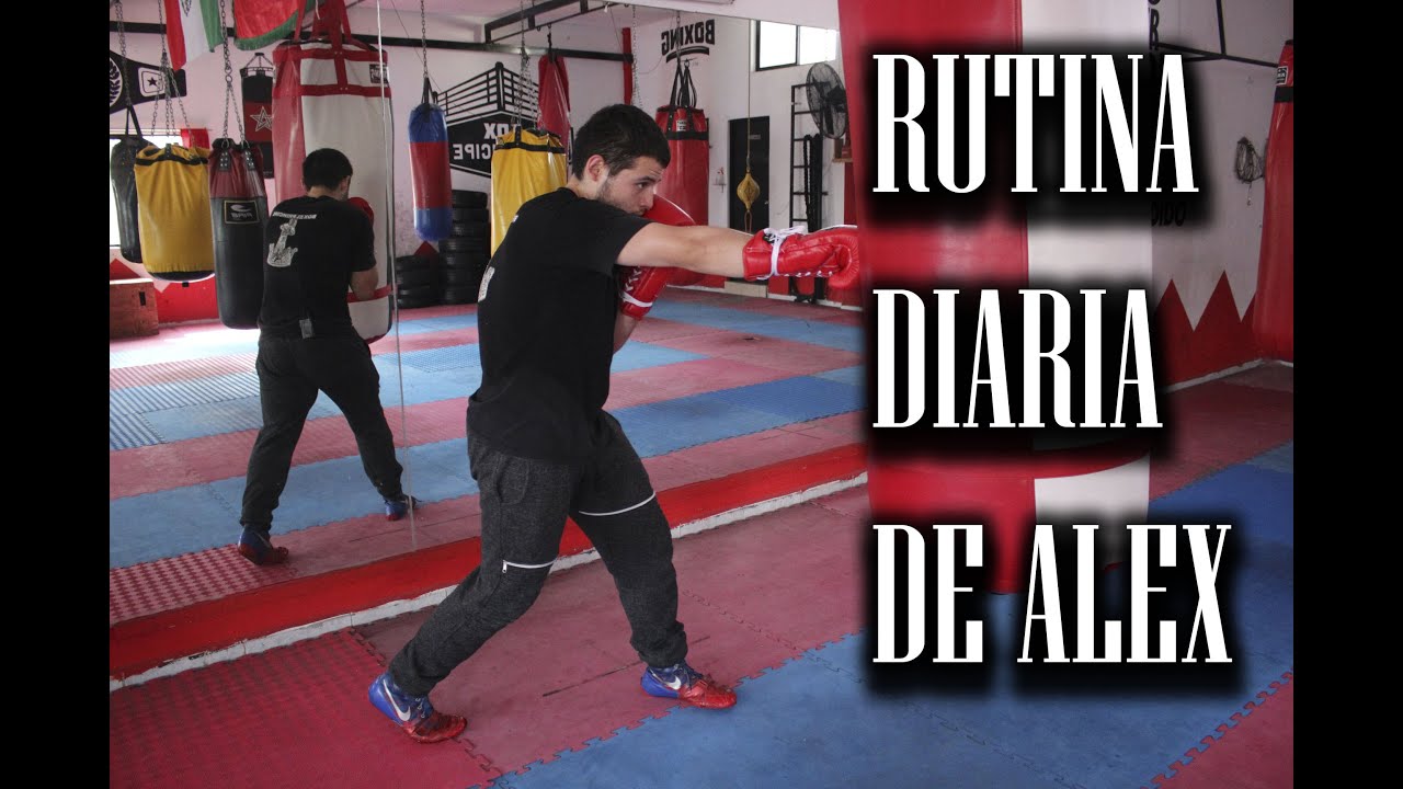 RUTINA DIARIA DE ALEX  EN LA ESCUELA DE BOX EL PRINCIPE