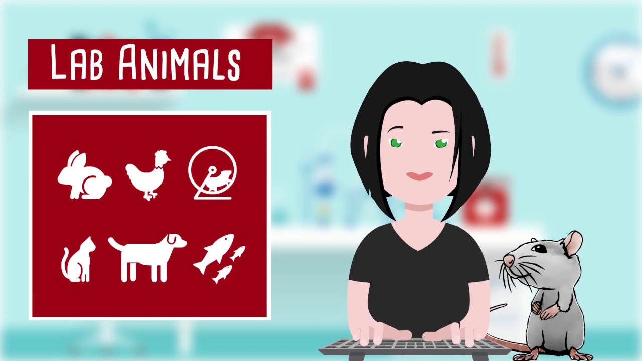 Choose Your Curriculum - Animal Care Bachelor's @UniPD