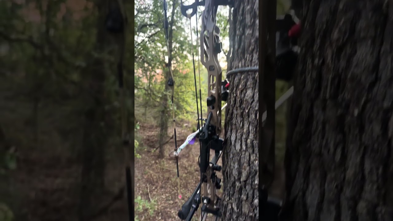 Oklahoma Saddle Hunting Day 2 🏹 | Public Land Whitetail Bowhunting 2025 