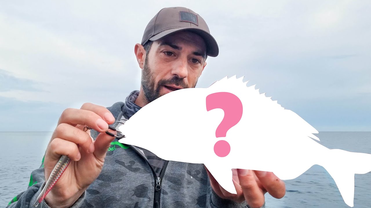 Una sorpresa ROSA molto particolare a SHORE JIGGING