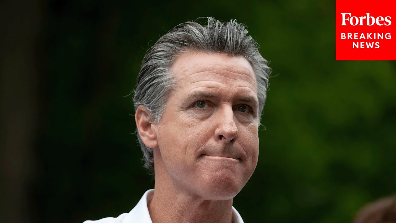 'Truly Unprecedented Scheme': CA Lawmaker Rips Newsom's Effort To 'Undermine Our Democratic Process'