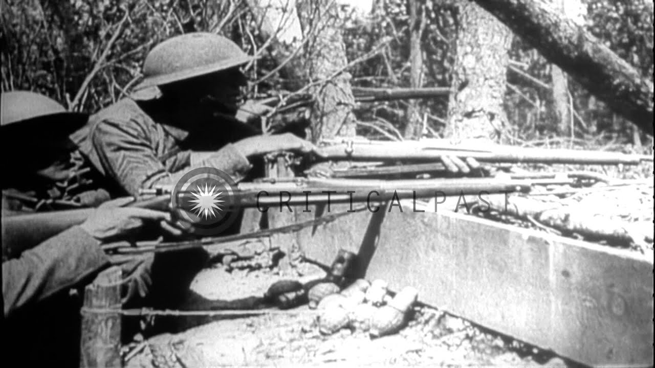US soldiers of 32nd Division,64th Brigade,128th Infantry fire rifles and hunt for...HD Stock Footage