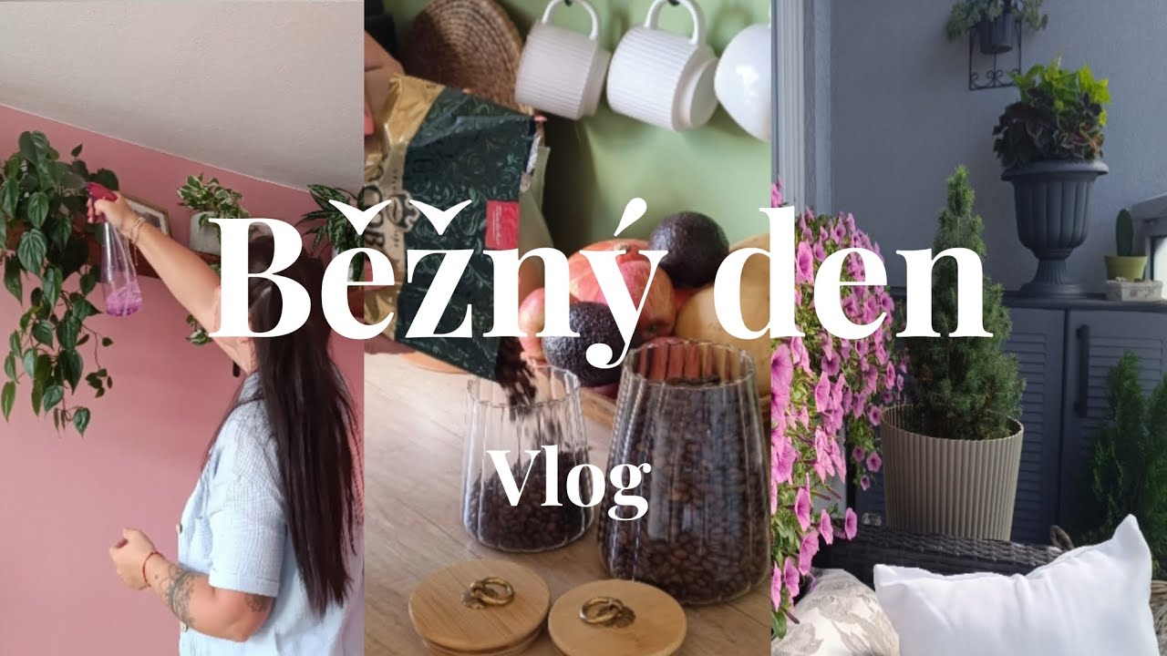Běžný den | nákup | úklid | tichý vlog 
