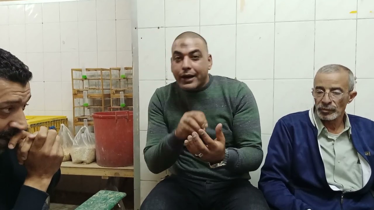 دردشه عن الحمام كلام من الاخر في حق الغيه رجعه ونش جي