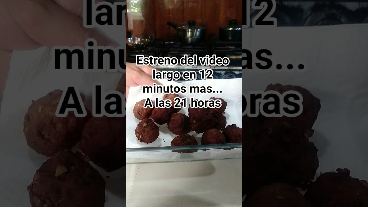 ALBONDIGAS CASERAS DE CARNE DE VACUNO /