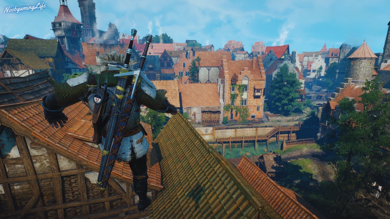 When You Playing Assassins' Creed : Wild Hunt