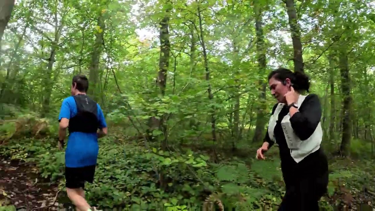 Gambaderies entre foret et ville haute