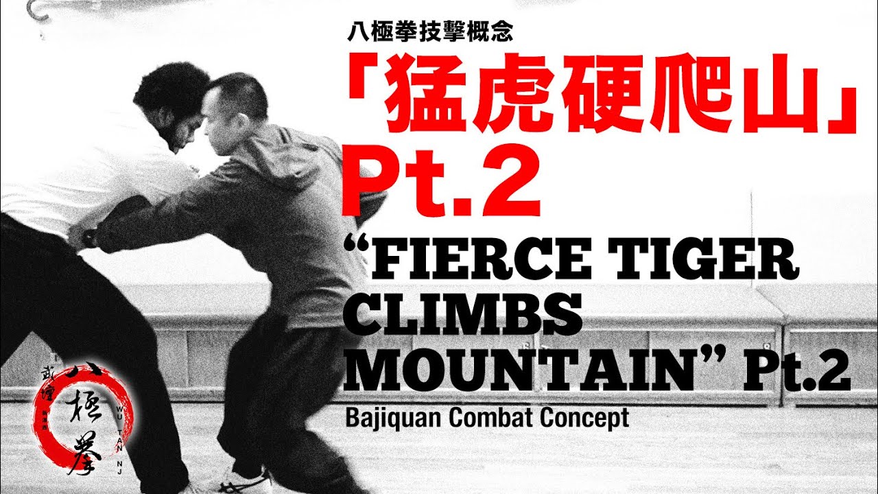 八極拳技擊概念「猛虎硬爬山」pt.2 Bajiquan Combat Concept “Fierce Tiger” pt.2
