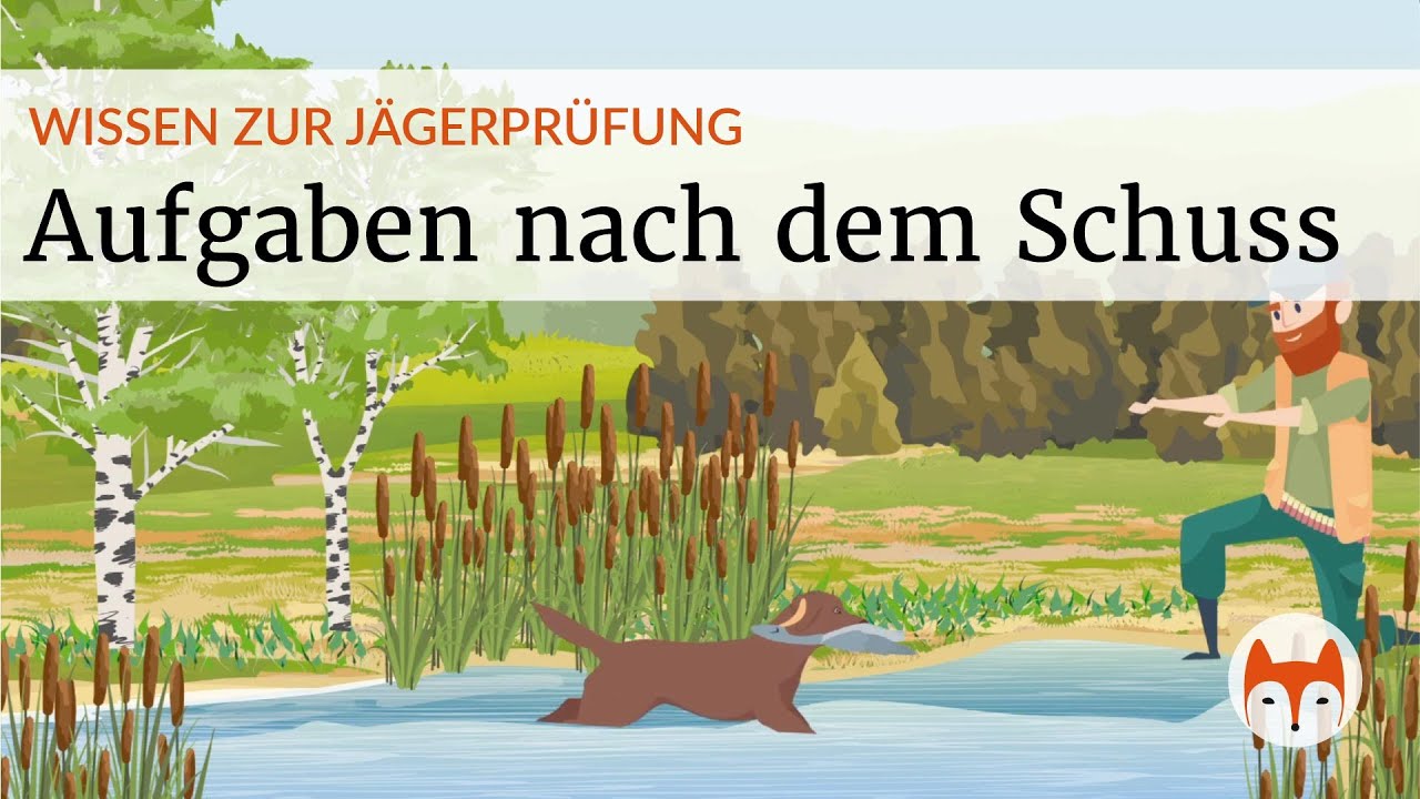 Jagdhunde Aufgaben nach dem Schuss &ndash; alles was du f&uuml;r die J&auml;gerpr&uuml;fung wissen musst