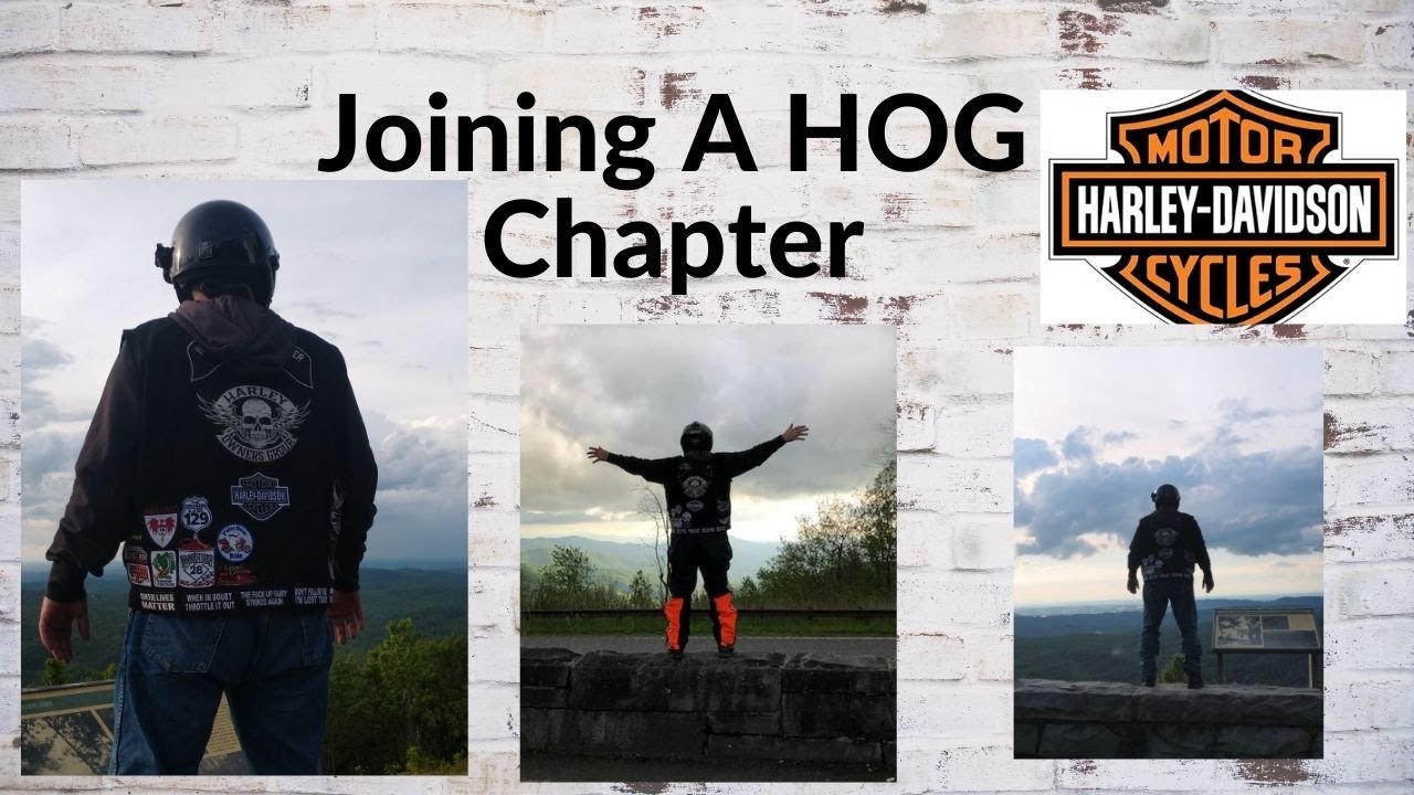 Should you join a HOG Chapter