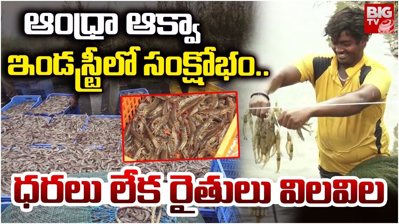 Aqua Farmers Face Big loss in Andhra Pradesh | AP Aqua Farmers Problems | CM Chandrababu | BIG TV