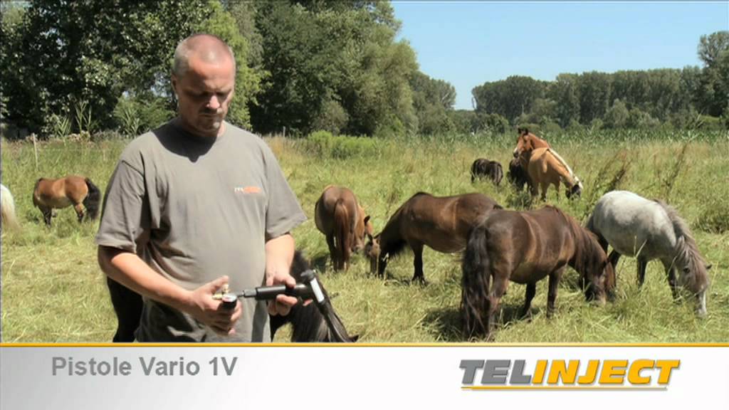 Telinject - Veterinärmedizinische Spezialgeräte