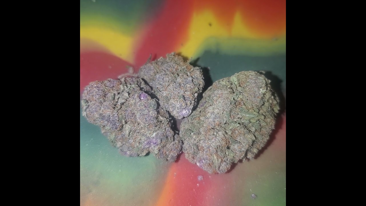Purple Push Pop 2