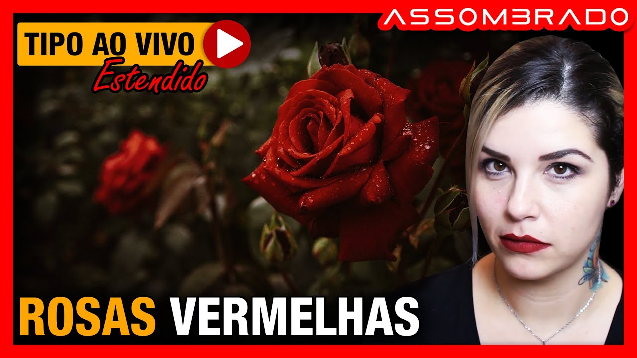 AQUILO FOI UM SONHO OU ALGUÉM QUIS REALMENTE PASSAR UMA MENSAGEM À ELA? - 