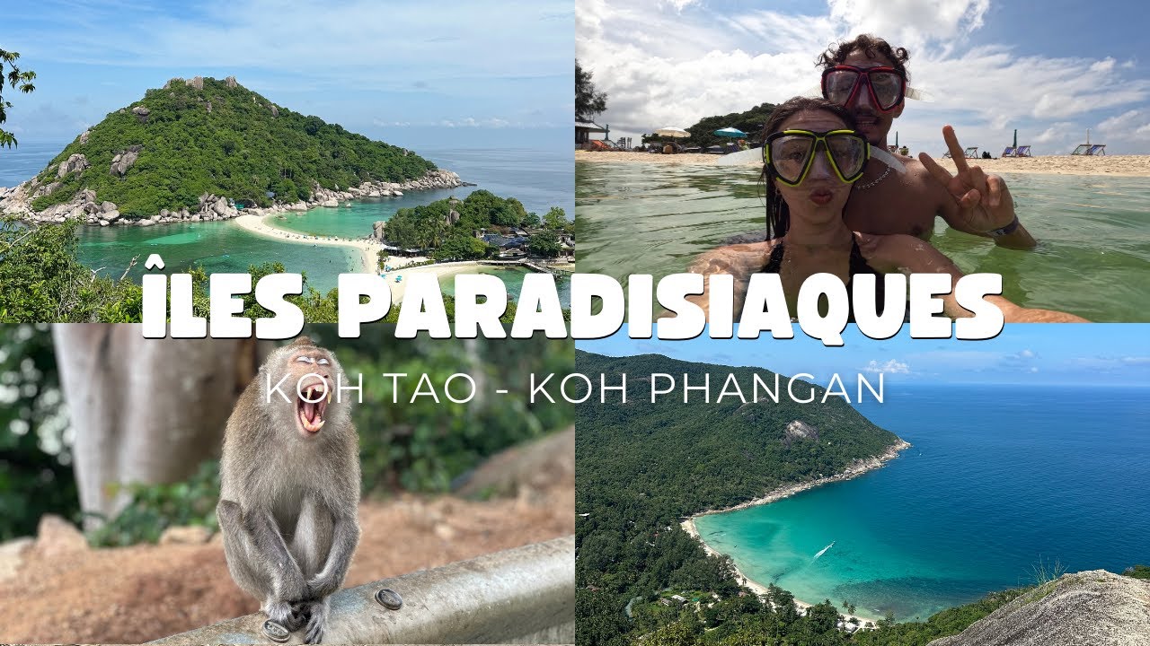 ÎLES PARADISIAQUES - Quelques jours à Koh Tao et Koh Phangan