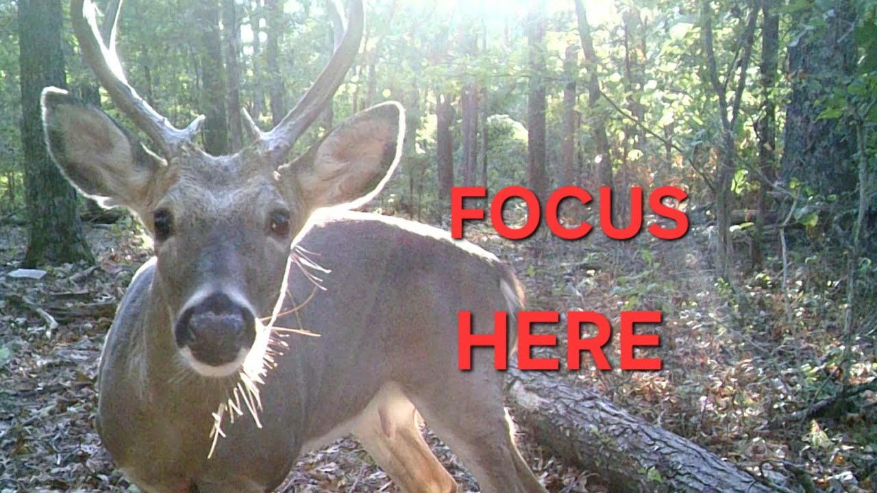 5 Things Outdoor Channels need to worry about