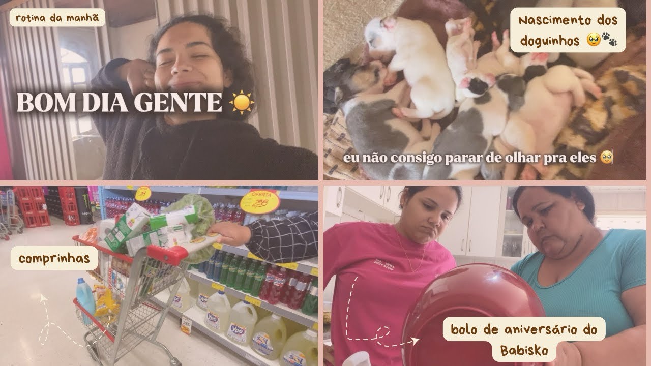 VLOG| rotina da manhã | nasceram os doguinhos | bolo de aniversário do paizinho