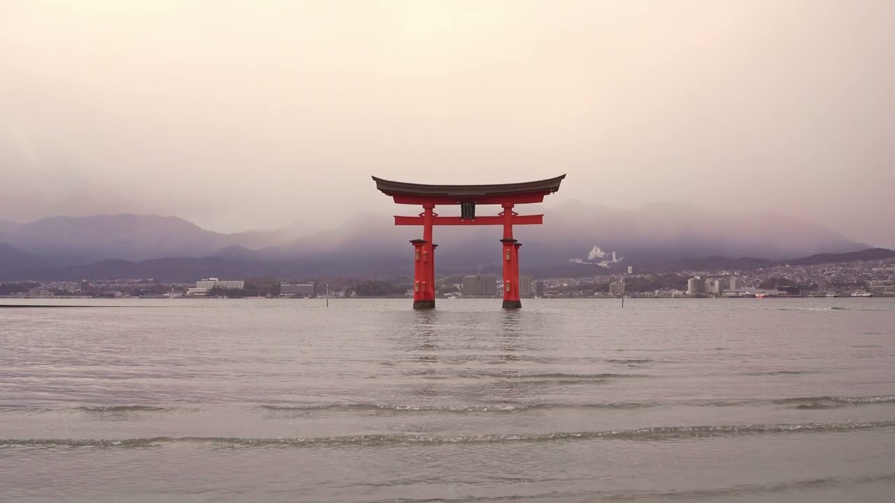 Japan Dec. 2024 - Novo Amor (Seneca)