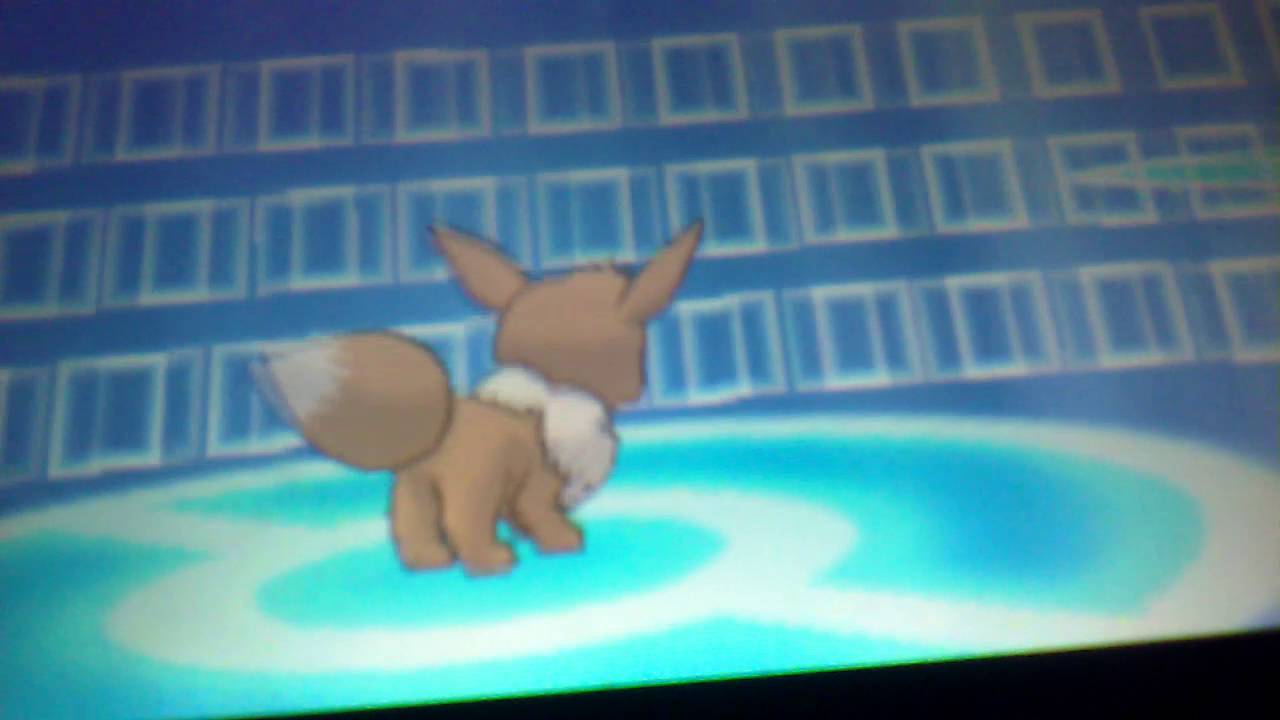 The first syleon.