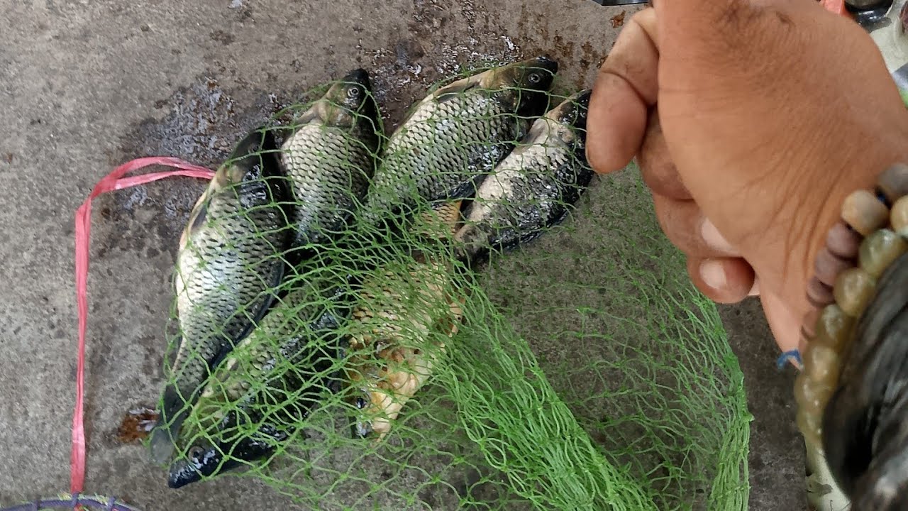 MENYELAMATKAN IKAN 🐟🐟 DI KOLAM RETENSI RANCABOLANG GAEES 😁👍