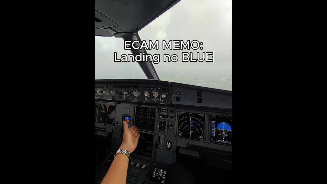 Flap Operator buttered the landing #pov #airplane #aircraft #a321 #airbus #landing