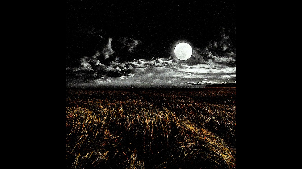 [FREE] Ajna x Wallace Cleaver | ambiant calm type beat 2024 (prod kamboo)