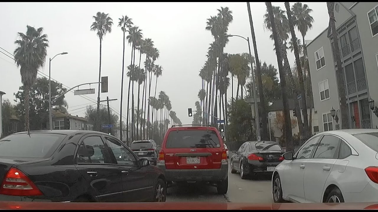 The Bad Drivers of Los Angeles 45