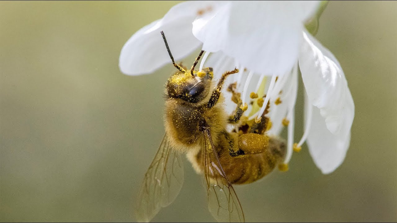 Shooting with the Nikon 105mm f/2.8 and D850