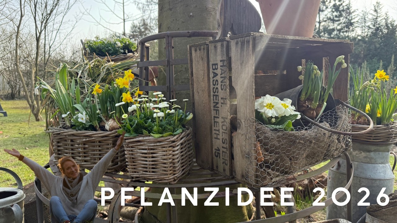 Pflanzidee 2026 für den Outdoor Bereich 💚 DIY für Pflanzgefäße