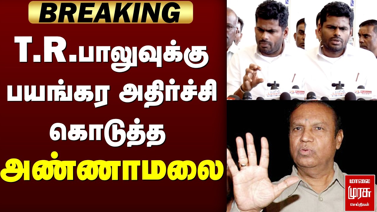 T.R.பாலுவுக்கு பயங்கர அதிர்ச்சி கொடுத்த அண்ணாமலை | Annamalai | BJP