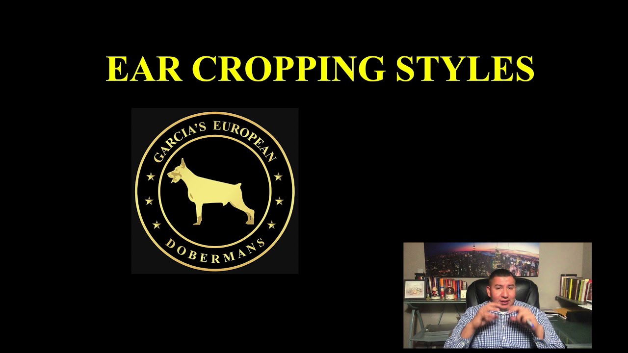 Ear Cropping Styles For European Dobermans