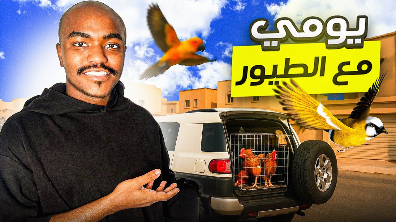 بعت الدجاج وجهزت الببغاوات للانتاج🦜❤️