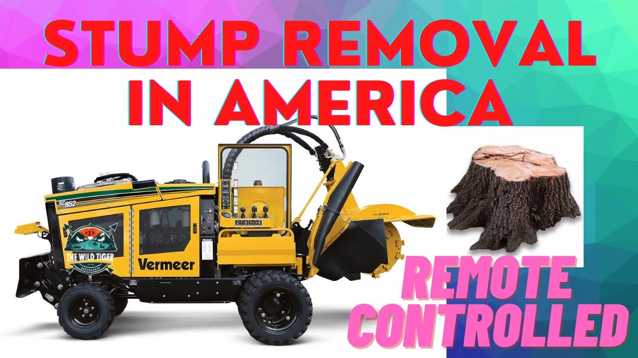 STUMP REMOVAL IN AMERICA