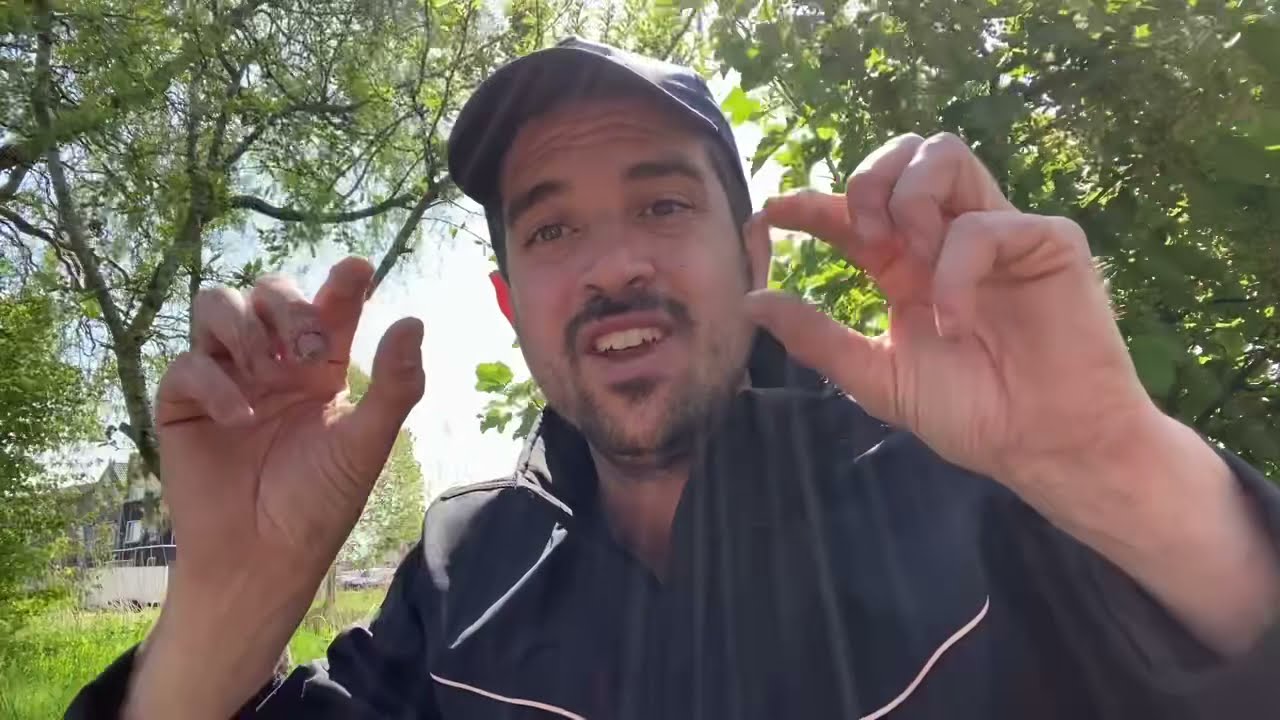 Bodemverbetering: Hoe ik mijn Compostgrond bemest en verbeter